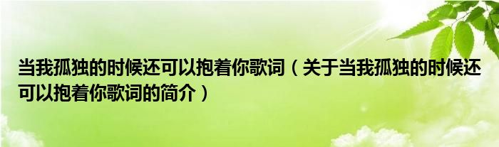 當(dāng)我孤獨(dú)的時(shí)候還可以抱著你歌詞（關(guān)于當(dāng)我孤獨(dú)的時(shí)候還可以抱著你歌詞的簡(jiǎn)介）