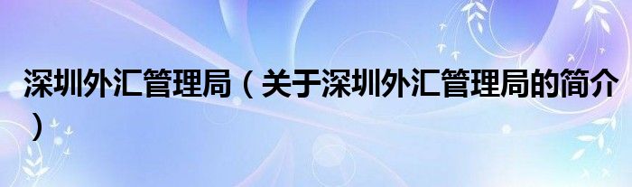 深圳外匯管理局（關(guān)于深圳外匯管理局的簡(jiǎn)介）