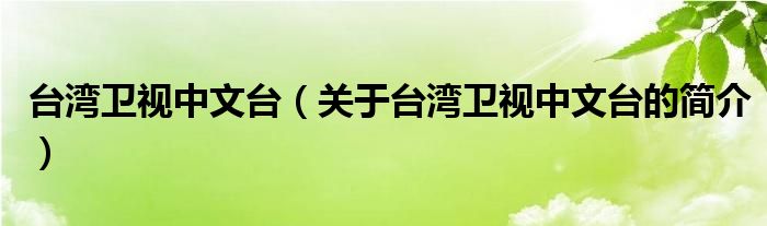 臺(tái)灣衛(wèi)視中文臺(tái)（關(guān)于臺(tái)灣衛(wèi)視中文臺(tái)的簡(jiǎn)介）