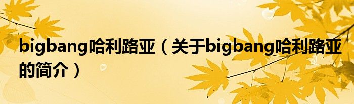 bigbang哈利路亞（關(guān)于bigbang哈利路亞的簡介）