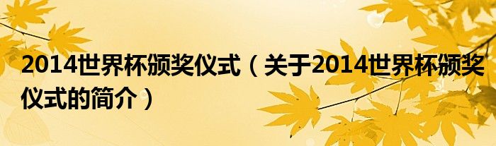 2014世界杯頒獎儀式（關(guān)于2014世界杯頒獎儀式的簡介）