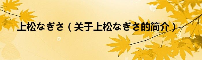 上松なぎさ（關(guān)于上松なぎさ的簡(jiǎn)介）