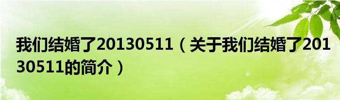 我們結(jié)婚了20130511（關于我們結(jié)婚了20130511的簡介）