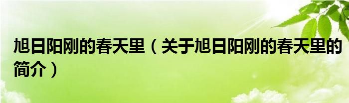 旭日陽剛的春天里（關(guān)于旭日陽剛的春天里的簡介）