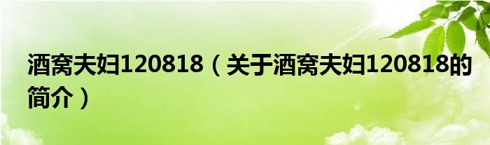 酒窩夫婦120818（關(guān)于酒窩夫婦120818的簡介）