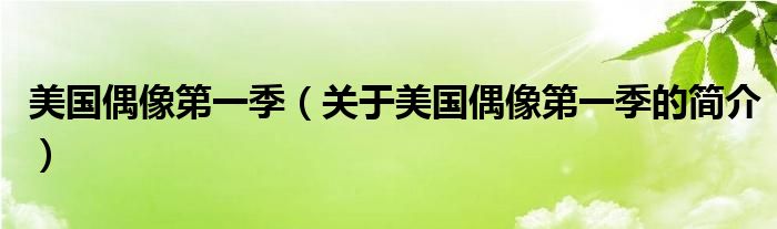 美國偶像第一季（關(guān)于美國偶像第一季的簡介）