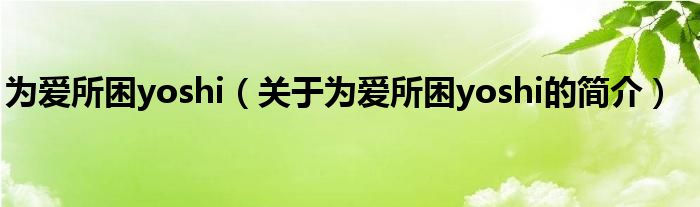 為愛所困yoshi（關(guān)于為愛所困yoshi的簡(jiǎn)介）