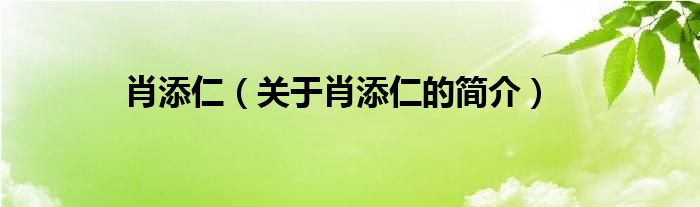 肖添仁（關(guān)于肖添仁的簡介）