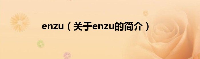 enzu（關(guān)于enzu的簡介）