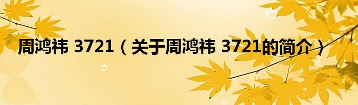 周鴻祎 3721（關(guān)于周鴻祎 3721的簡介）