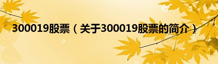 300019股票（關(guān)于300019股票的簡介）