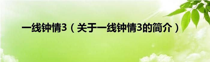 一線鐘情3（關(guān)于一線鐘情3的簡介）