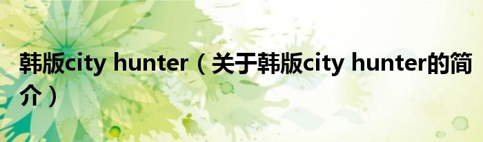 韓版city hunter（關(guān)于韓版city hunter的簡(jiǎn)介）