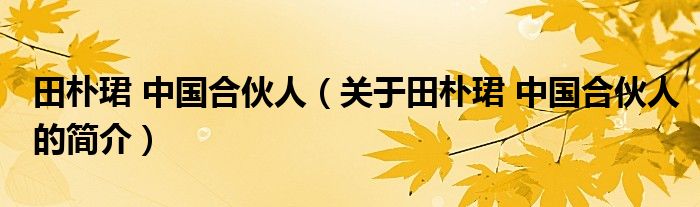 田樸珺 中國合伙人（關于田樸珺 中國合伙人的簡介）