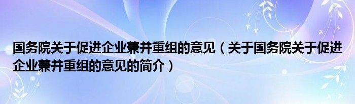 國務院關于促進企業(yè)兼并重組的意見（關于國務院關于促進企業(yè)兼并重組的意見的簡介）