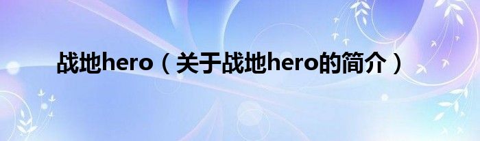 戰(zhàn)地hero（關(guān)于戰(zhàn)地hero的簡介）