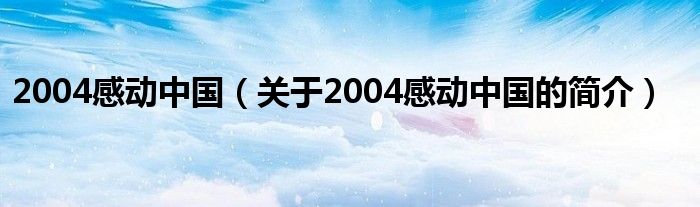 2004感動中國（關(guān)于2004感動中國的簡介）