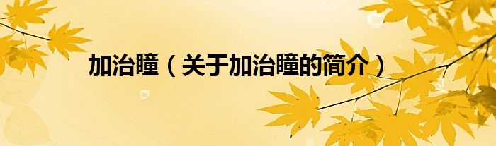 加治瞳（關(guān)于加治瞳的簡(jiǎn)介）