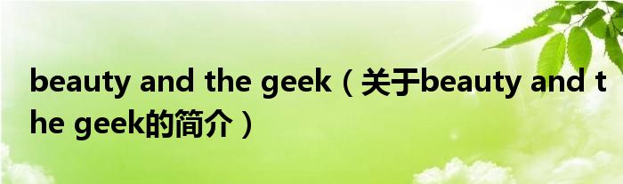 beauty and the geek（關(guān)于beauty and the geek的簡(jiǎn)介）