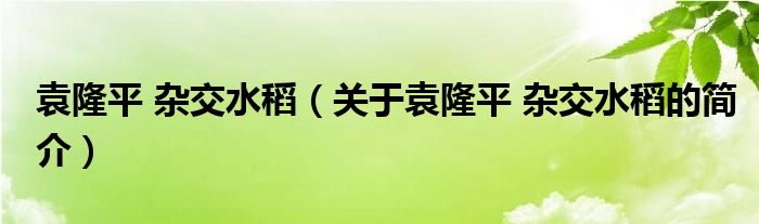 袁隆平 雜交水稻（關于袁隆平 雜交水稻的簡介）