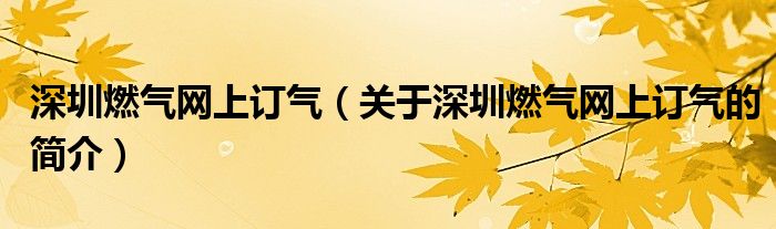 深圳燃?xì)饩W(wǎng)上訂氣（關(guān)于深圳燃?xì)饩W(wǎng)上訂氣的簡(jiǎn)介）