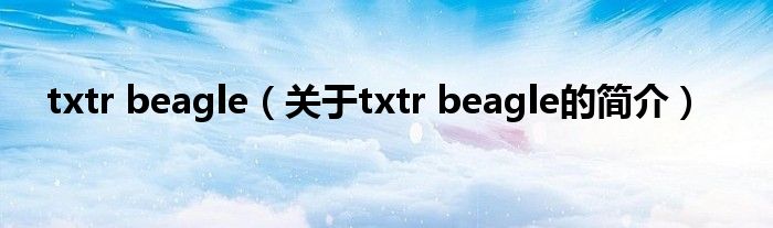 txtr beagle（關(guān)于txtr beagle的簡介）