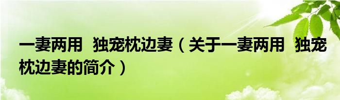 一妻兩用  獨寵枕邊妻（關(guān)于一妻兩用  獨寵枕邊妻的簡介）