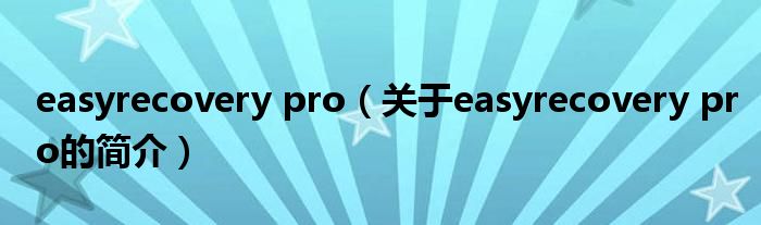 easyrecovery pro（關(guān)于easyrecovery pro的簡(jiǎn)介）