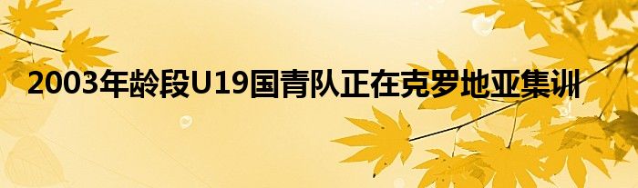 2003年齡段U19國(guó)青隊(duì)正在克羅地亞集訓(xùn)