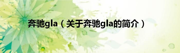 奔馳gla（關(guān)于奔馳gla的簡介）