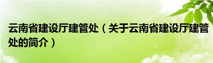 云南省建設(shè)廳建管處（關(guān)于云南省建設(shè)廳建管處的簡介）