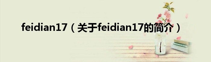 feidian17（關(guān)于feidian17的簡介）