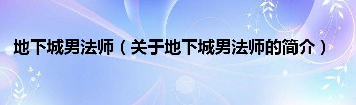 地下城男法師（關(guān)于地下城男法師的簡介）