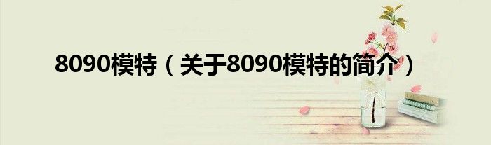 8090模特（關(guān)于8090模特的簡(jiǎn)介）