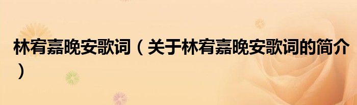 林宥嘉晚安歌詞（關(guān)于林宥嘉晚安歌詞的簡介）