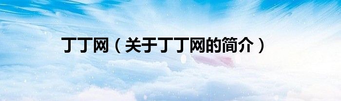 丁丁網(wǎng)（關(guān)于丁丁網(wǎng)的簡(jiǎn)介）