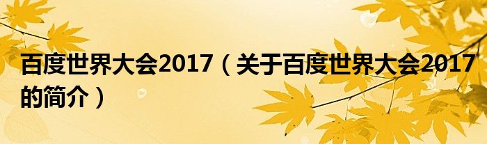 百度世界大會2017（關(guān)于百度世界大會2017的簡介）