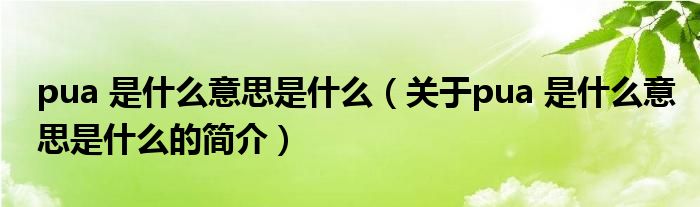 pua 是什么意思是什么（關(guān)于pua 是什么意思是什么的簡介）