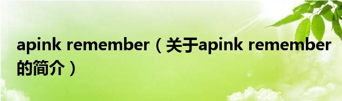 apink remember（關(guān)于apink remember的簡(jiǎn)介）