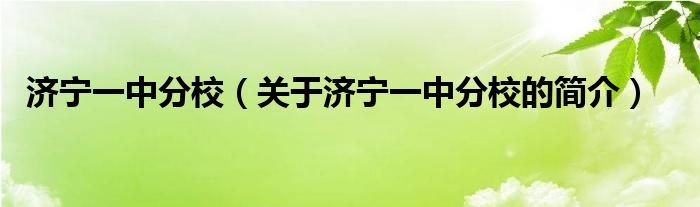 濟(jì)寧一中分校（關(guān)于濟(jì)寧一中分校的簡介）