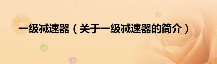 一級(jí)減速器（關(guān)于一級(jí)減速器的簡(jiǎn)介）