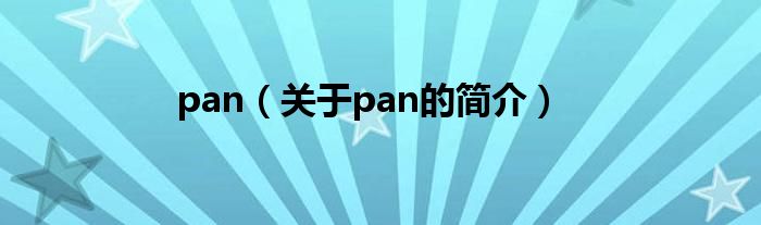 pan（關(guān)于pan的簡介）