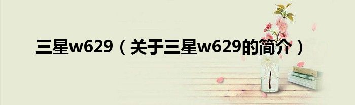 三星w629（關(guān)于三星w629的簡介）