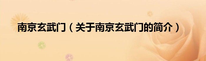 南京玄武門（關(guān)于南京玄武門的簡(jiǎn)介）