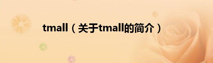 tmall（關(guān)于tmall的簡(jiǎn)介）