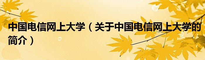 中國電信網(wǎng)上大學（關于中國電信網(wǎng)上大學的簡介）