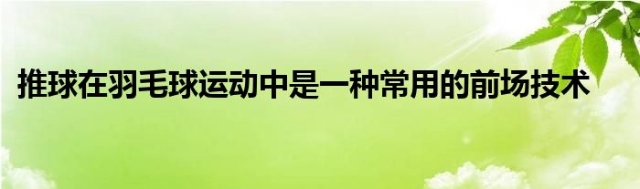 推球在羽毛球運(yùn)動中是一種常用的前場技術(shù)