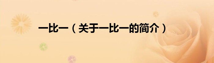 一比一（關(guān)于一比一的簡(jiǎn)介）