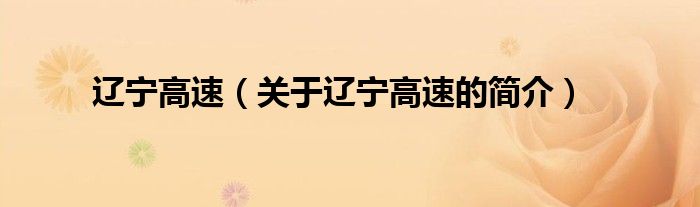 遼寧高速（關(guān)于遼寧高速的簡(jiǎn)介）