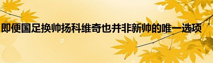 即便國足換帥揚(yáng)科維奇也并非新帥的唯一選項(xiàng)